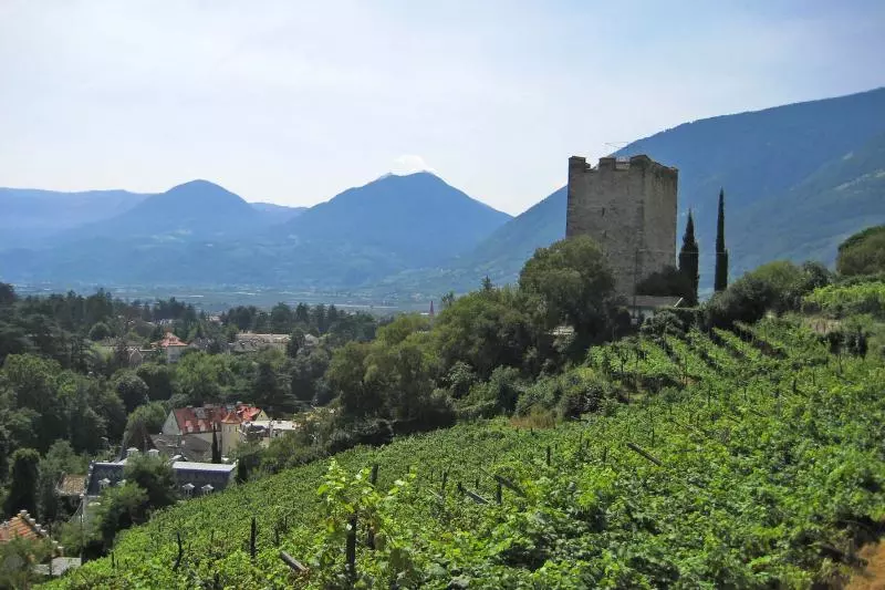 Südtirol (c) VinschgerEngl