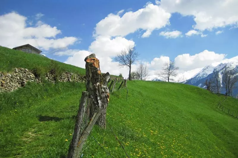 Vinschgau (c) VinschgerEngl