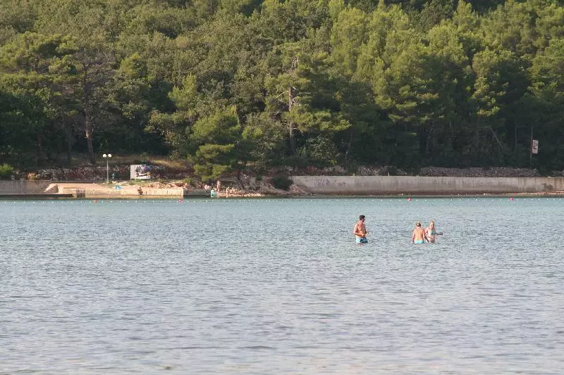 Cizici (c) dago