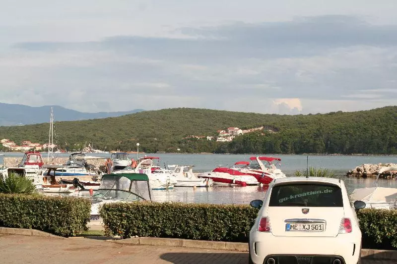 Cizici (c) dago
