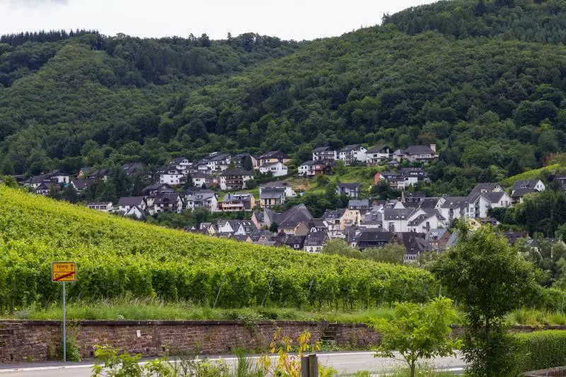 Cochem-Zell (c) dago