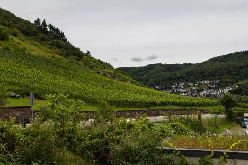 Cochem-Zell (c) dago
