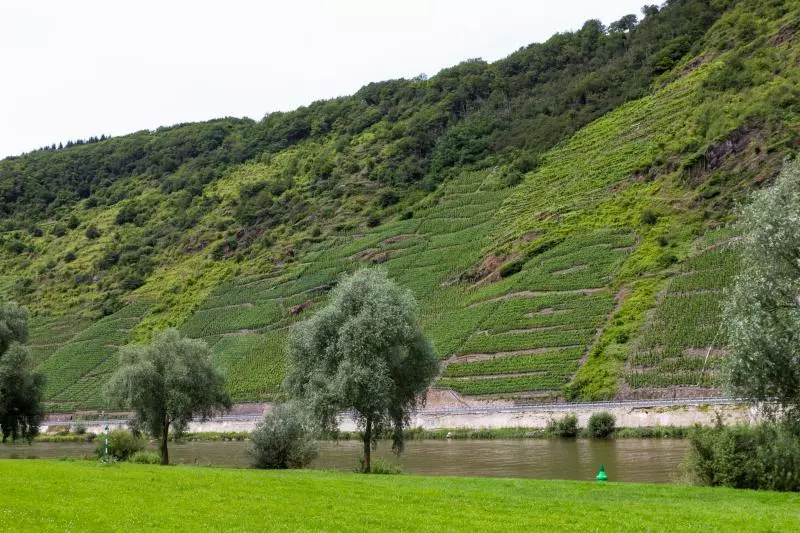 Cochem-Zell (c) dago