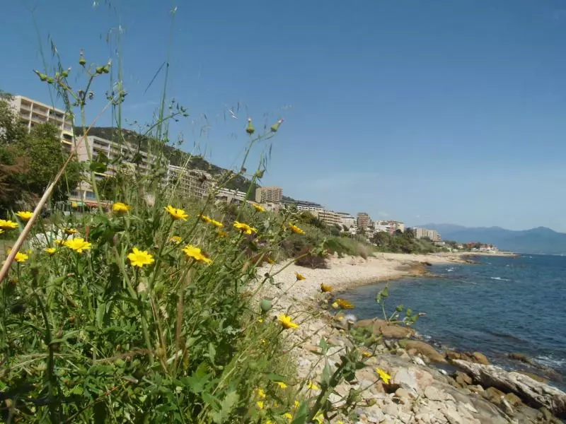 Corse-Du-Sud (c) neandertours